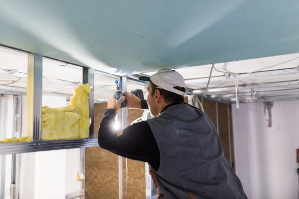 Best Eco-Friendly or Green Insulation Solutions  in Bangs, TX